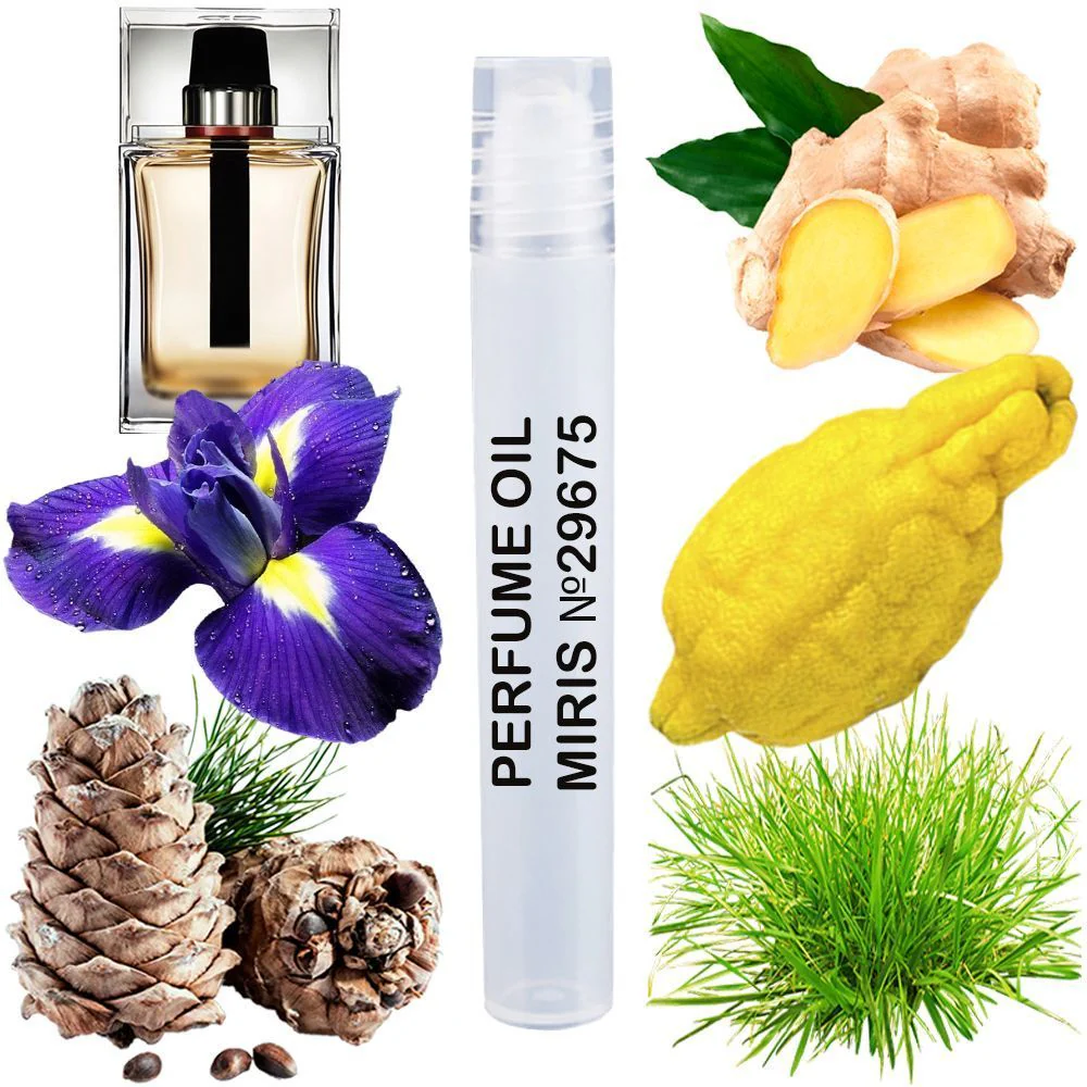 MIRIS No. 29675, Inspired by Di Homme Sport 2012, Long-Lasting Perfume Oil for Men Roll-On, Rollerball 0.34 Fl Oz / 10 ml